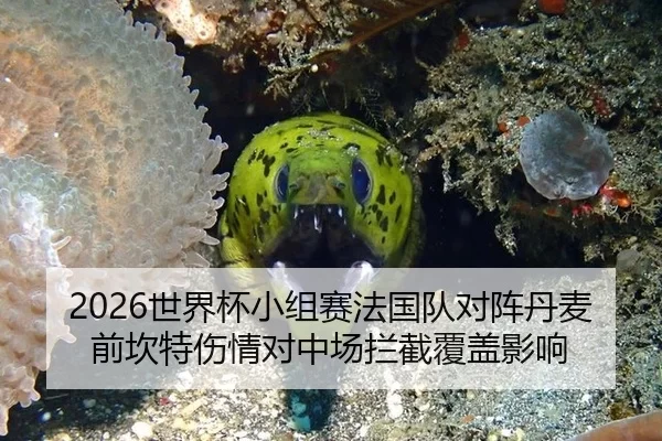 2026世界杯小组赛法国队对阵丹麦前坎特伤情对中场拦截覆盖影响
