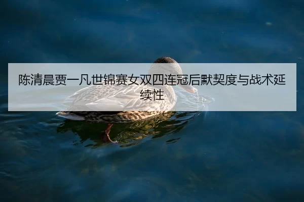 陈清晨贾一凡世锦赛女双四连冠后默契度与战术延续性